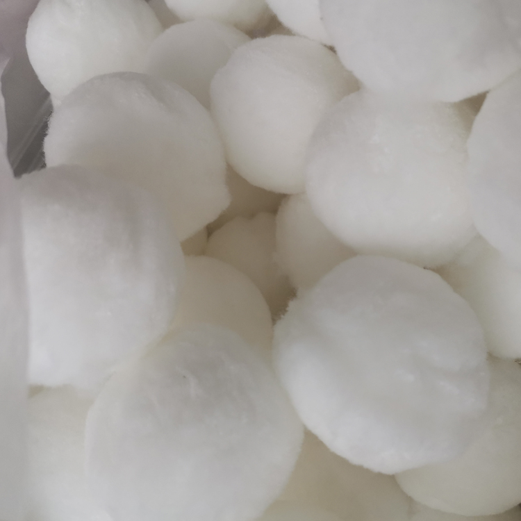 �����w�S��